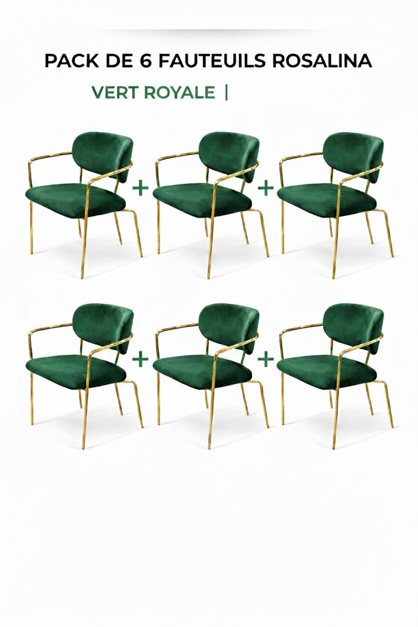 PACK ROSALINA SP6 PACK 6 FAUTEUILS ROSALINA – Image 1